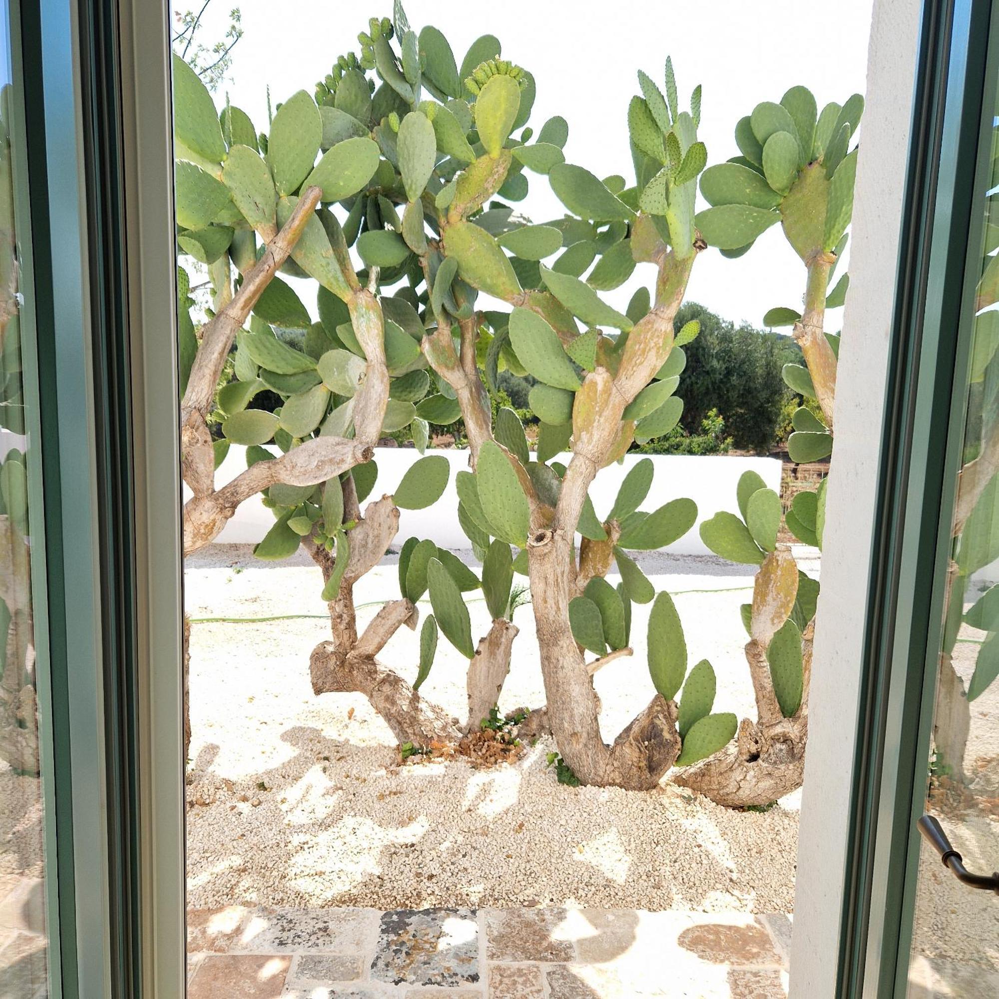 Masseria Paradiso Ostuni Exterior photo